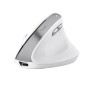 TRUST MOUSE BAYO II ERGONOMICO WIRELESS, BIANCO