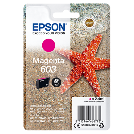 EPSON CARTUCCIA INK MAGENTA, STELLA MARINA, 603