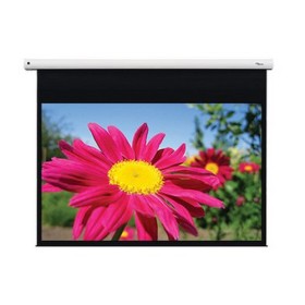 OPTOMA TELO PER VIDEOPROIETTORE MOTORIZZATO GLASSFIBER MATTE WHITE, TUBULAR MOTOR, OVAL CASING - INTERNAL I/R 123" 276X201CM
