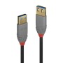 LINDY PROLUNGA USB 3.2 TIPO A, 5 GBIT/S, ANTHRA LINE, 1M