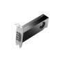 HP VGA QUADRO RTX PRO 2000 BLACKWELL, 16GB GDDR7, 4mDP, LOW PROFILE