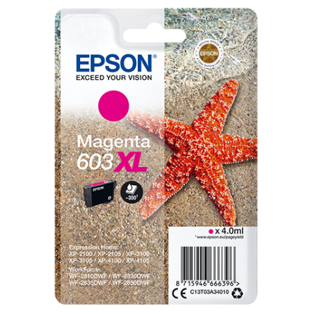 EPSON CARTUCCIA INK MAGENTA, STELLA MARINA, 603 XL
