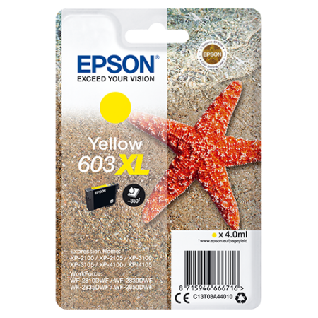 EPSON CARTUCCIA INK GIALLO, STELLA MARINA, 603 XL