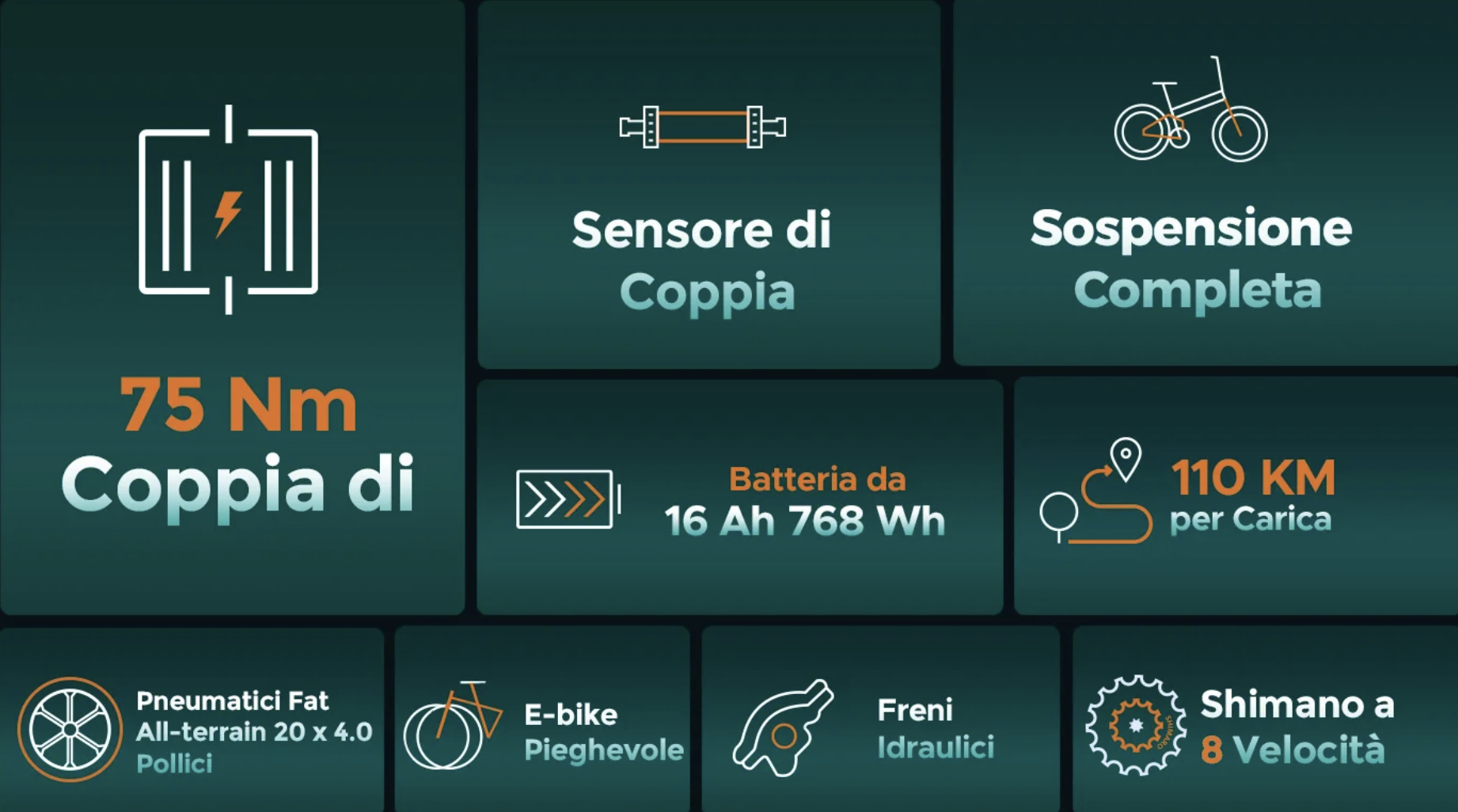 Caratteristiche Engwe Pro 2.0